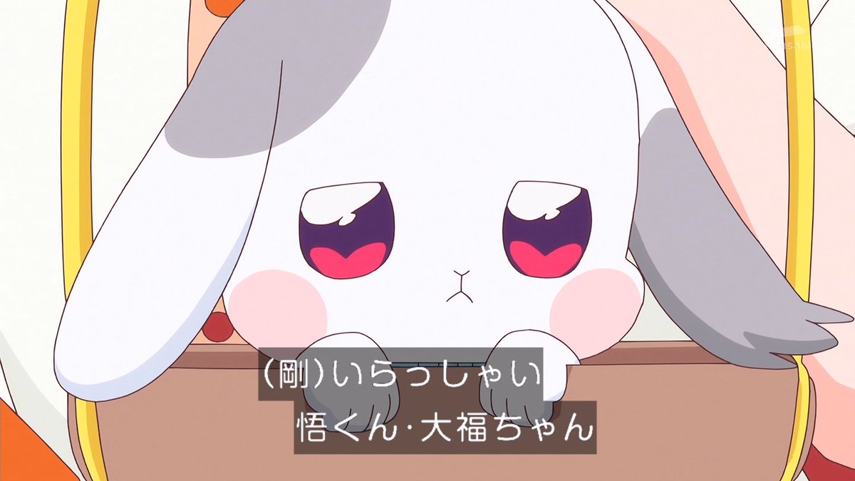 悟くんと大福ちゃん！ #わんプリ #precure #nitiasa