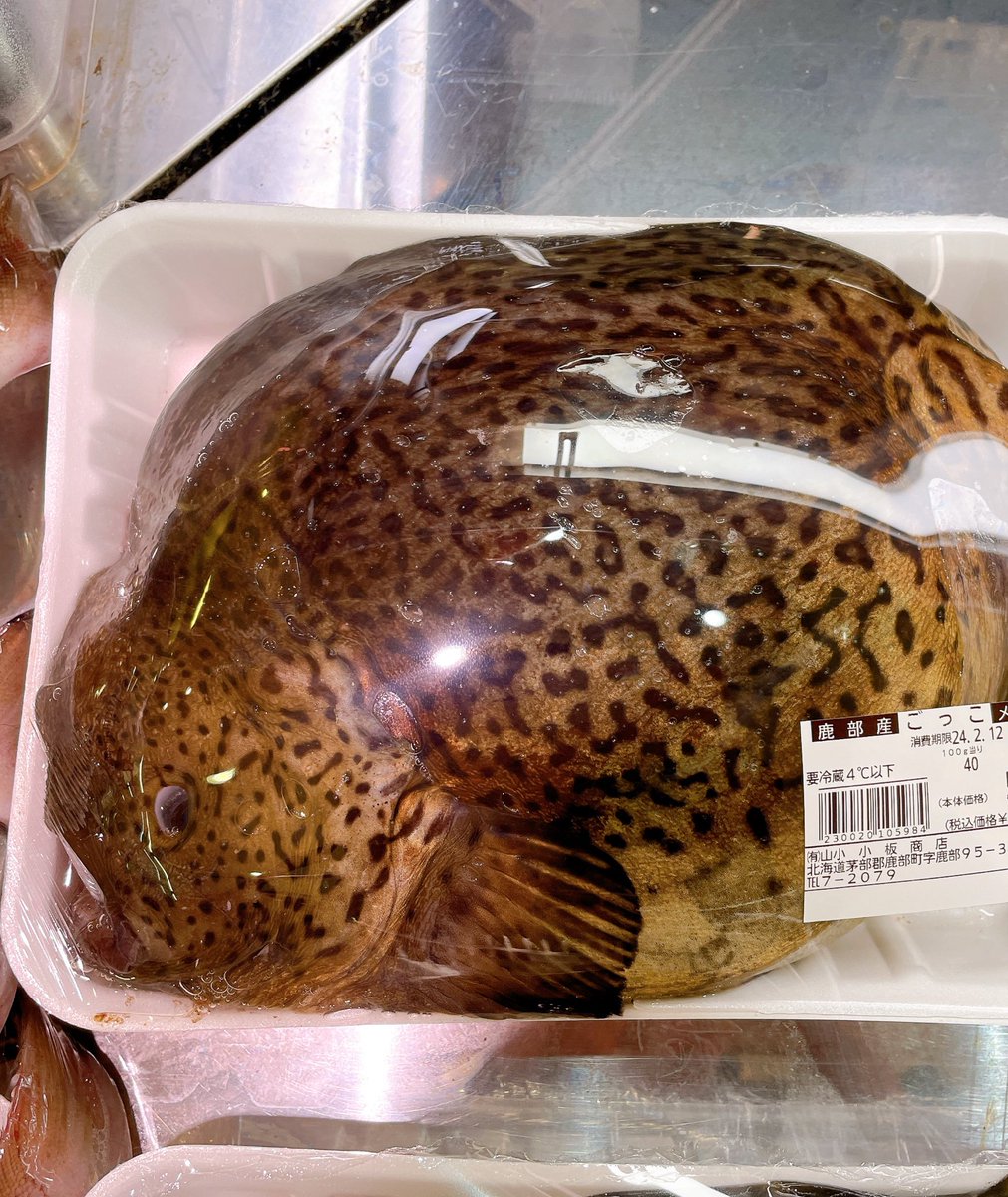 shikabetara's tweet image. 鹿部にはアフターがあって本当助かります
#ごっこ
#ごっこ汁