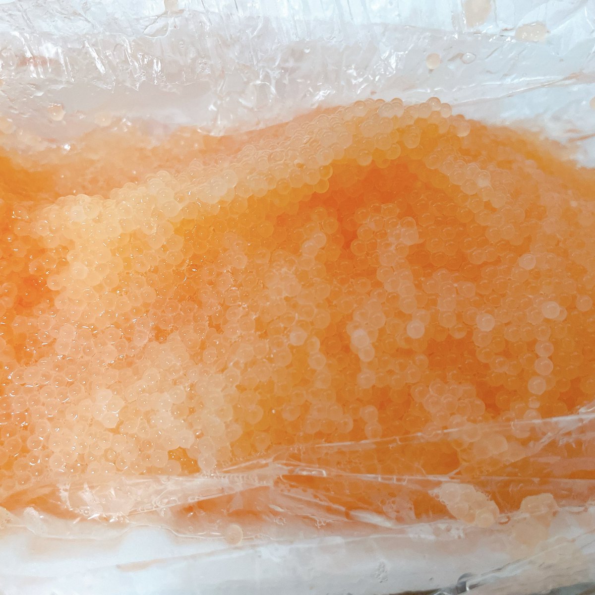 shikabetara's tweet image. 鹿部にはアフターがあって本当助かります
#ごっこ
#ごっこ汁