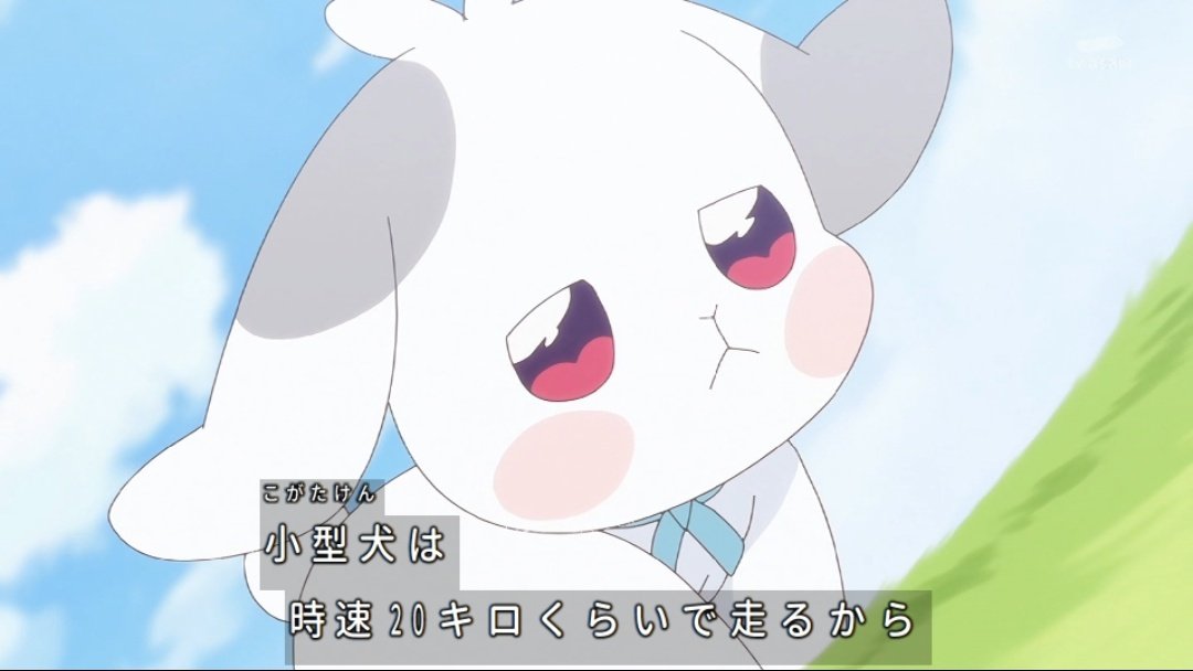 大福ちゃん、、喋らないけど可愛いな、、 字幕は、こむぎと悟くんの