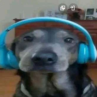 Adrielito_xd's tweet photo. @nana98tt A poco sí mi José Ortiz de Domínguez ? https://t.co/P4egOLzj7R