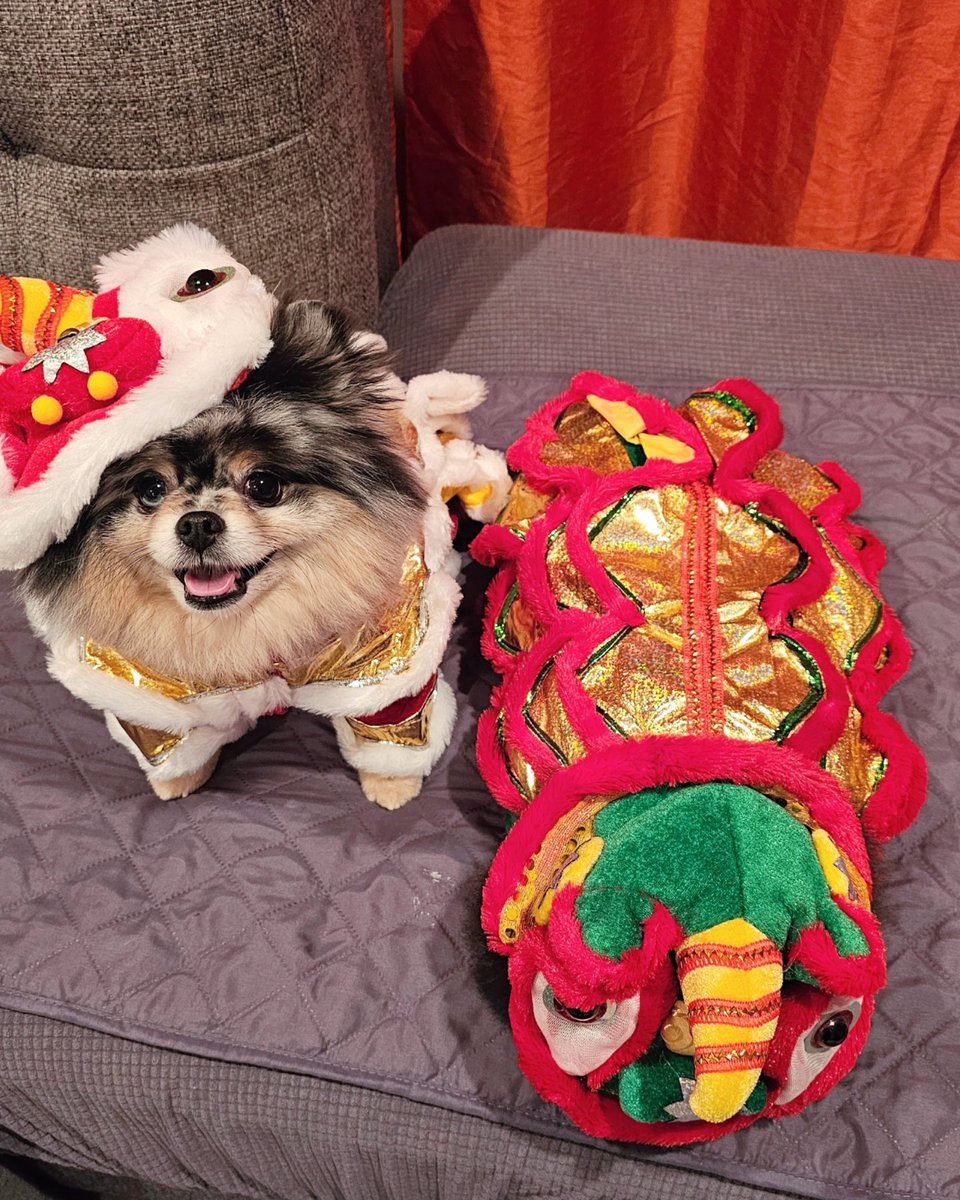 CHAUmanderp's tweet photo. Because they're so cute https://t.co/XGIBiCYQPp