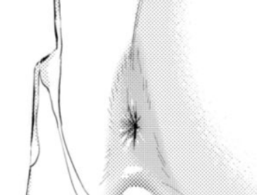 おしり穴付近の三角っぽくなる部分が最高に大好きです 