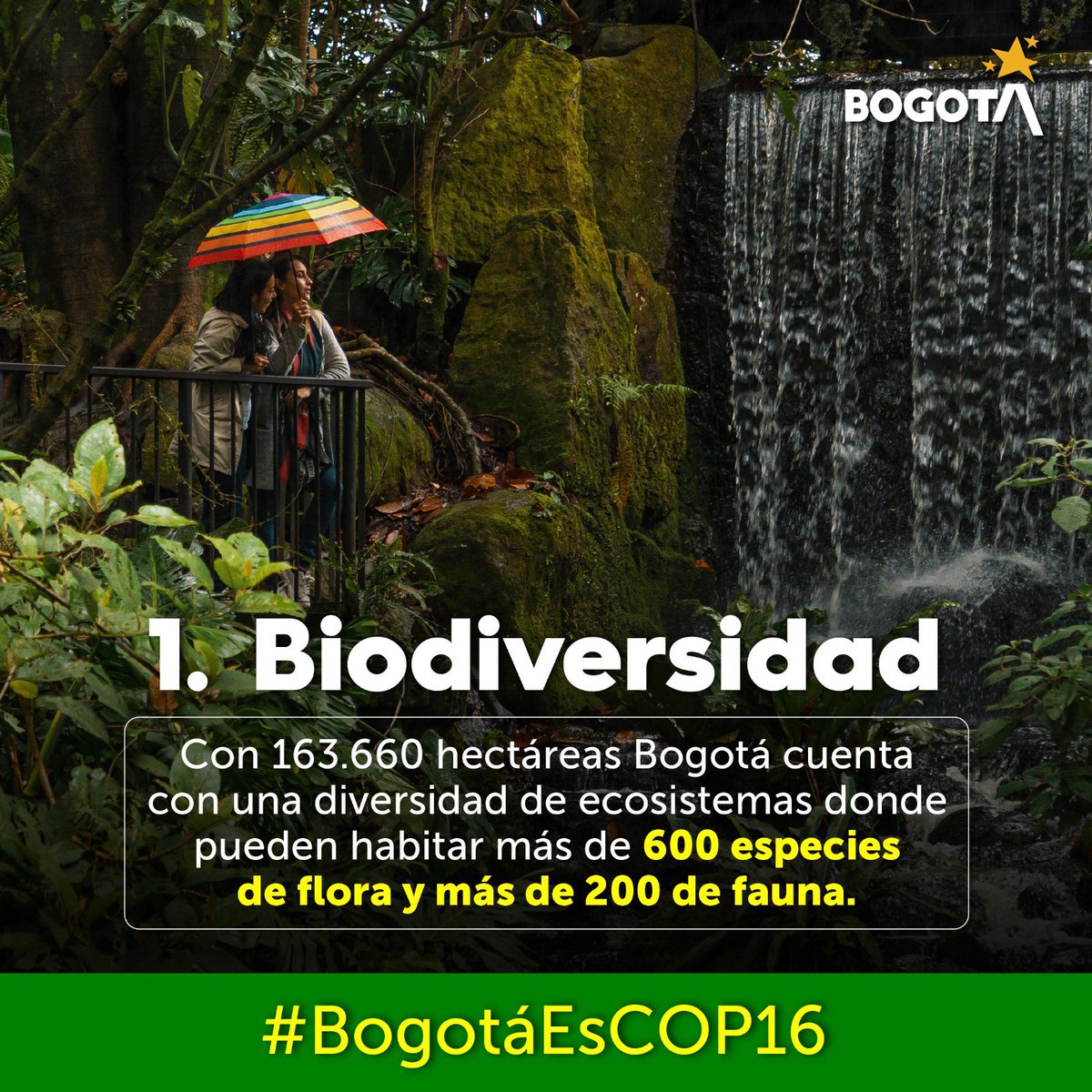Bogota_Turismo's tweet photo. #BogotáEsCOP16 estamos listos para brillar como sede de la #COP16 somos una potencia en biodiversidad y  epicentro de experiencias de turismo de naturaleza, cultural y gastronomía.

Destacamos 10 razones que hacen de @Bogota el lugar ideal para ser la sede de esta cubre mundial🌎 https://t.co/nI7akNNZN2