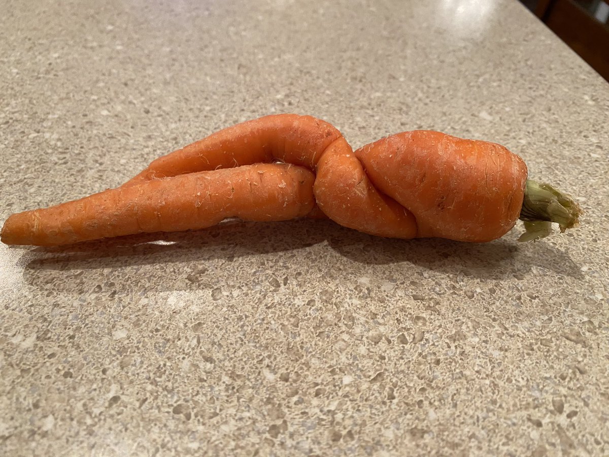 The most provocative carrot I’ve ever seen🥕🥕😉