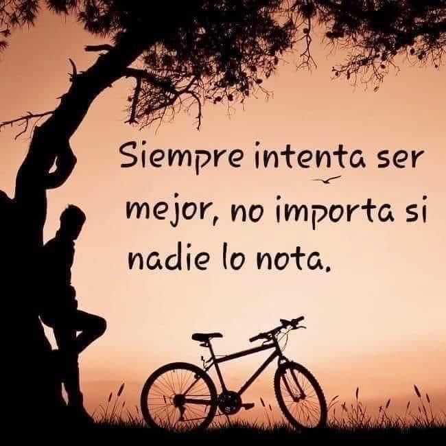 PauloCoelhoDice's tweet image. 