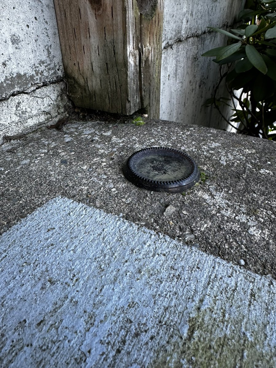 Space Monkey tweet media