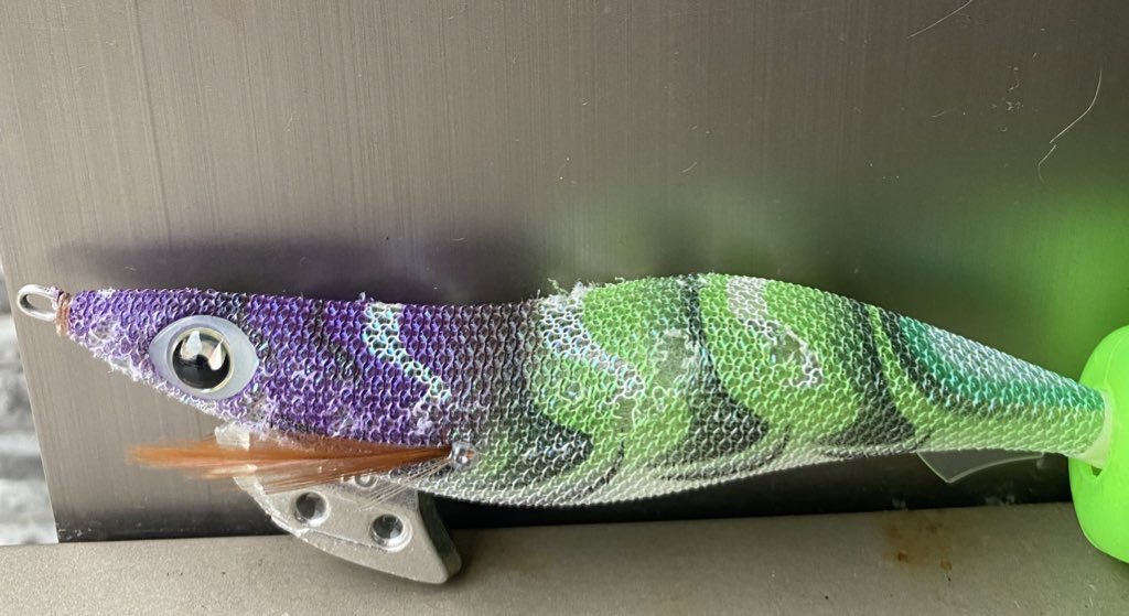 分かりにくいですが、エギの中に8割程度水が入り込んでて、気付かずフルキャストしたらロッドのガイド下から3番目付近が真っ二つに折れてしまった😮‍💨😮‍💨
どっから水って入るの⁇🤦
セフィアtt使ってましたけど価格帯的に買い替えないとかなー！折れたの初めてだけど凹むよねー😂
＃エギング