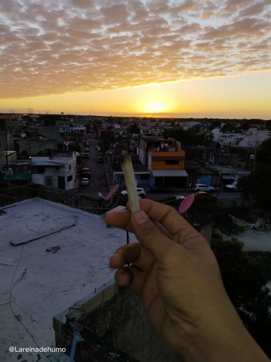 La Reina de Humo tweet media