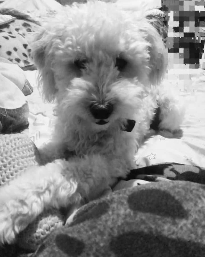 Gracias por salvarme y llegar en el momento más justo y necesario,te amo con mi vida miamor🤍.