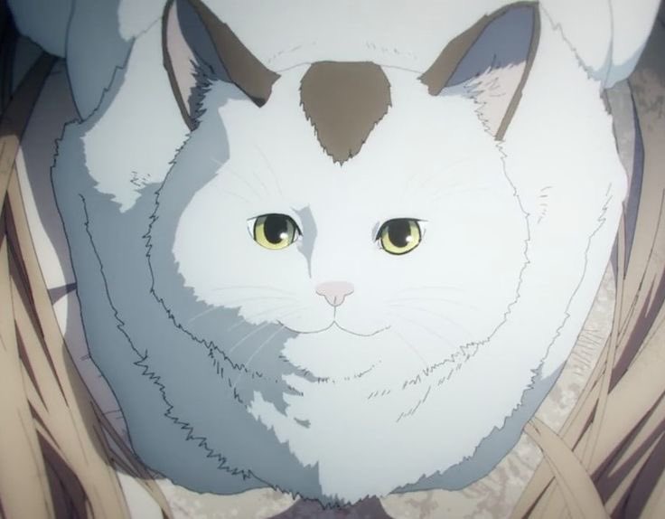 THE GREAT POWER tweet media