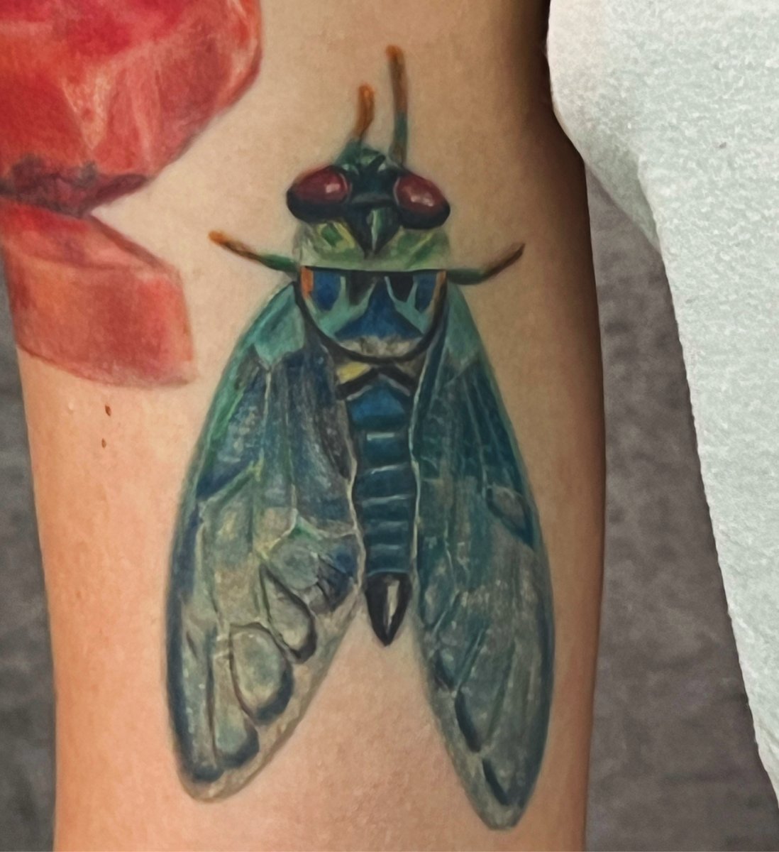 NuclearInk's tweet photo. Cicada Watercolor tattoo by Jesse Neese. #Bugs #cicadas #tattoo #tattoos #tattooart #omaha #nuclearink https://t.co/HGj4AQ86c5