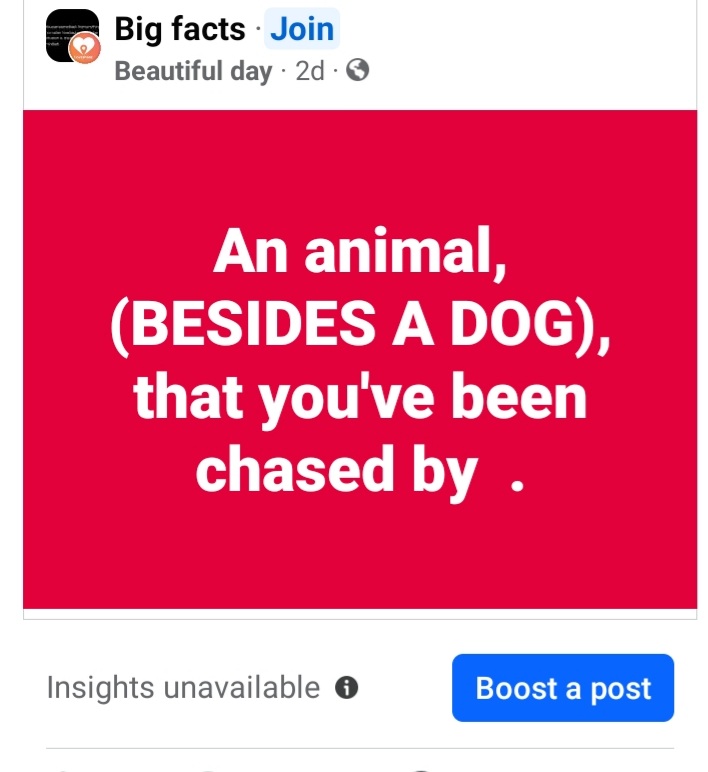 Ling Dior (@lingdeeyoh.bsky.social) tweet media