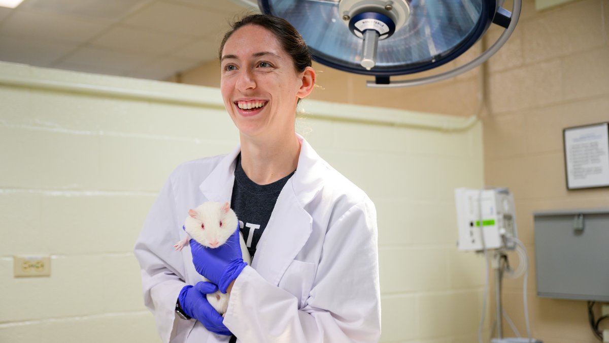 NCStateVetMed's tweet photo. ICYMI: #NCStateVetMed will debut the largest curricular rework in its history this fall. The college community collaboratively designed the new structure and its themes in step with @AAVMC recommendations to equip future DVMs for an evolving field: https://t.co/6tBmF1x96B https://t.co/RGqtLqDunf