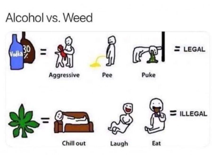 things that i smoke weed to tweet media