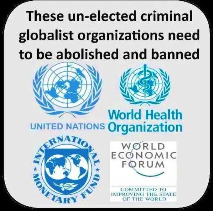 StarrAli001's tweet photo. Absolutely! The UN, the WHO, NATO, WEF, and all the Globalist organizations need to be abolished and banned! 

These are UN-ELECTED criminal globalist organizations pushing elite agendas worldwide. 

These organizations serve no useful purpose, they are EVIL and a scourge on humanity.