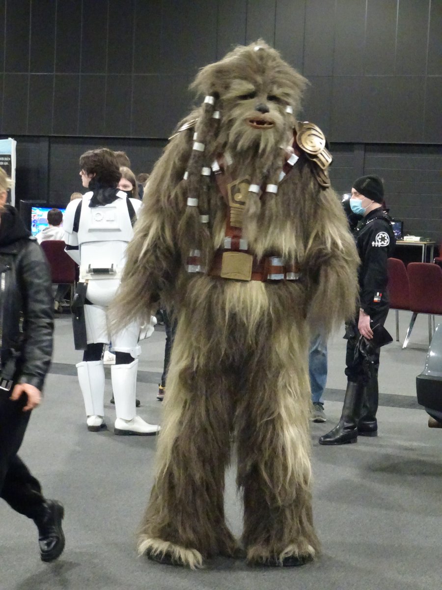 Chewbacca at Comic Con Aberdeen in 2022.

#photos #photooftheday #dailyphoto #Chewbacca #comicconaberdeen