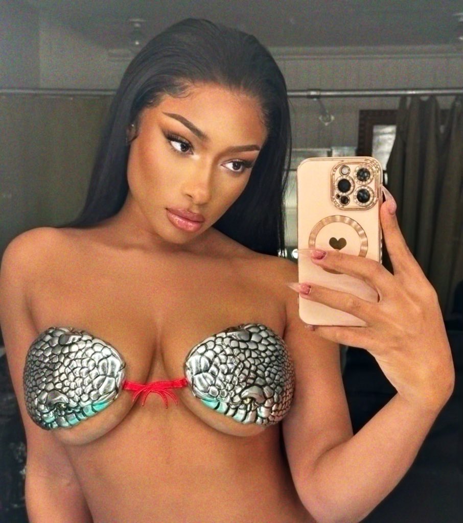 theestallion tweet picture