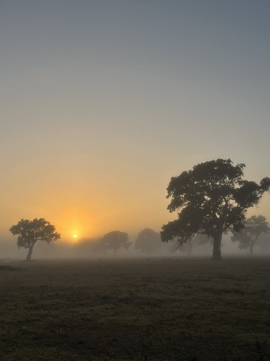 Beautiful crisp morning to start the day off! 🌅