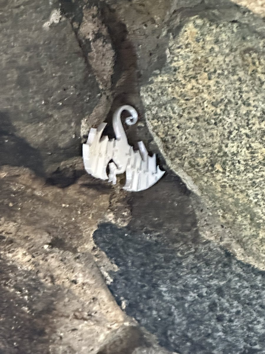 MiniWhistle's tweet image. First hide of the year. #monkeyshines2024