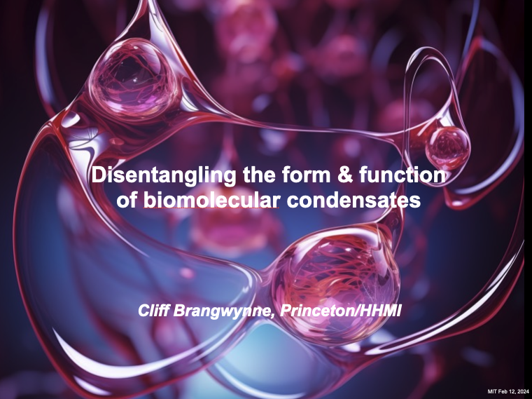 brangwynnelab (@brangwynnelab) on Twitter photo Looking forward to giving a talk Monday at noon <a href="/kochinstitute/">Koch Institute at MIT</a> <a href="/MIT/">Massachusetts Institute of Technology (MIT)</a> (hosted by <a href="/LindsayCase19/">Lindsay Case</a> ) Looking forward to giving a talk Monday at noon <a href="/kochinstitute/">Koch Institute at MIT</a> <a href="/MIT/">Massachusetts Institute of Technology (MIT)</a> (hosted by <a href="/LindsayCase19/">Lindsay Case</a> )