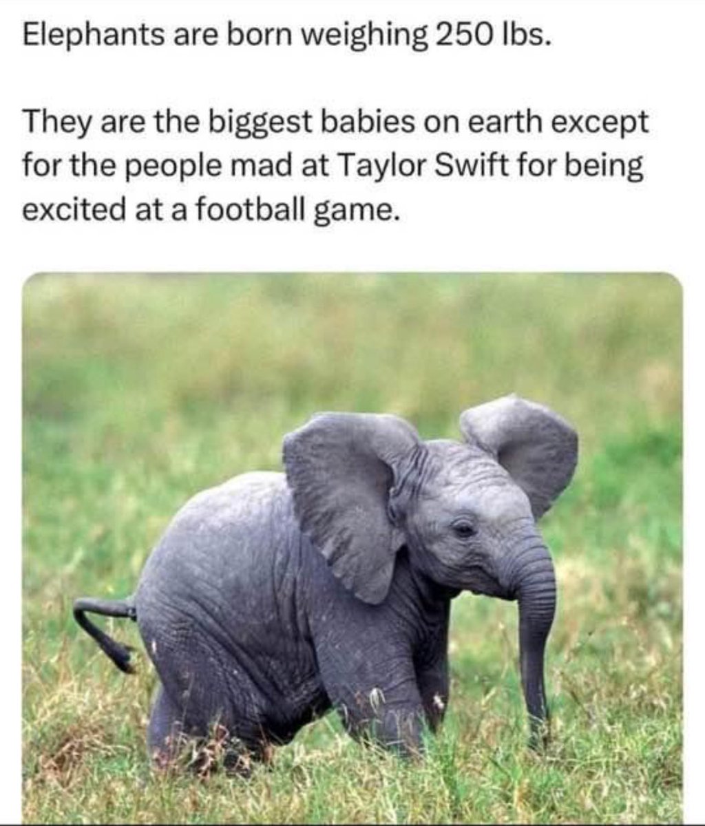 too good not to share .