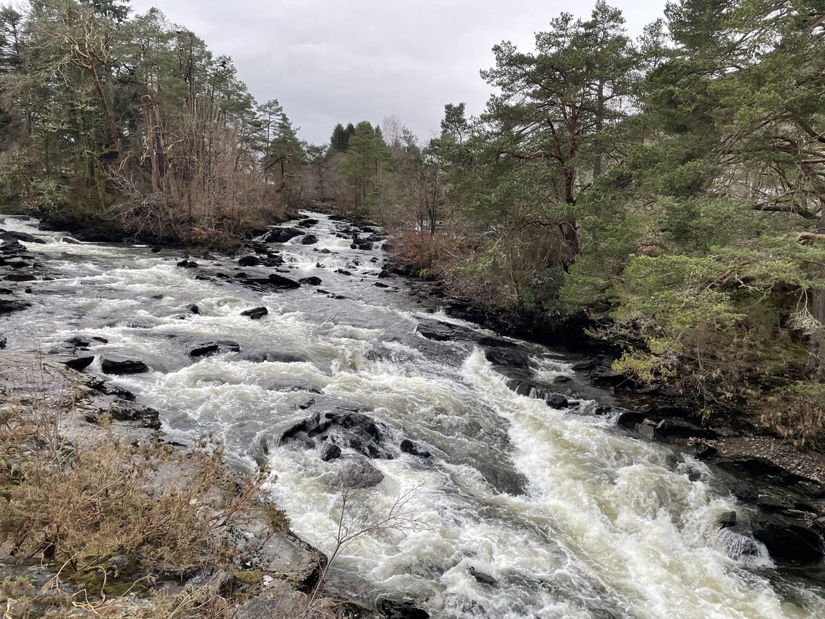 Susan Venables tweet media