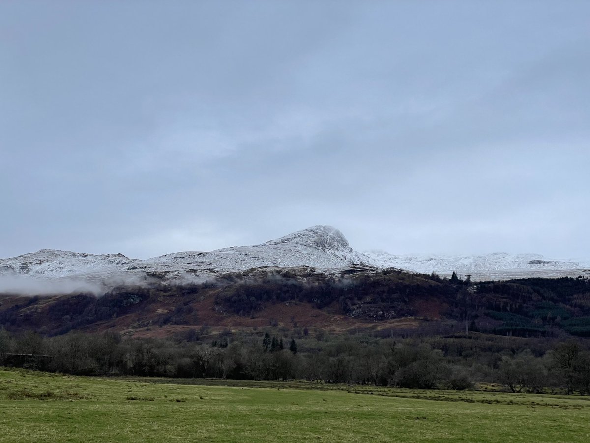 Susan Venables tweet media