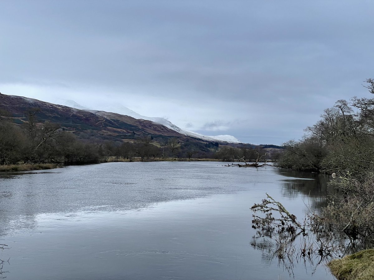 Susan Venables tweet media