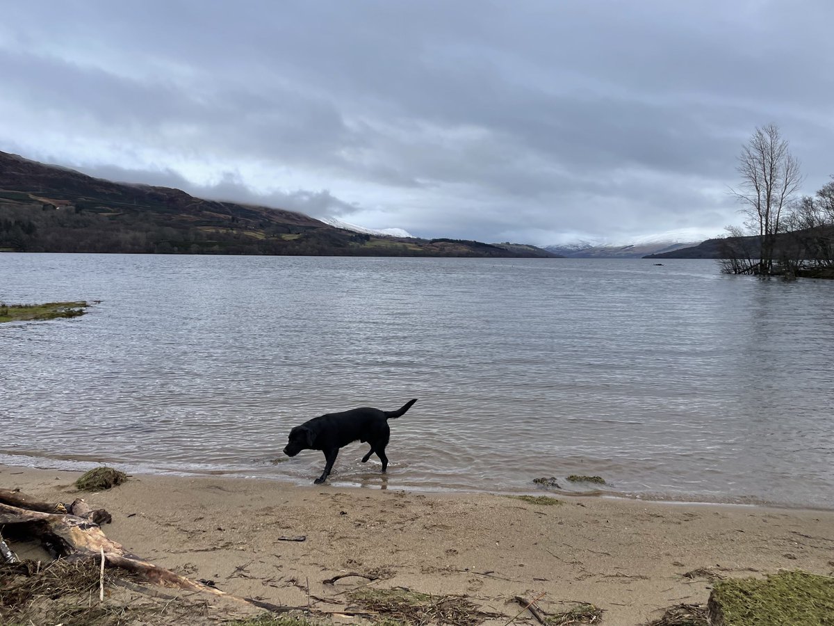 Susan Venables tweet media