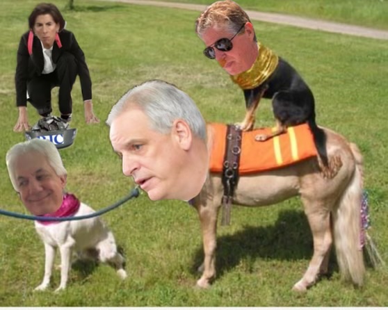 rhody_special's tweet photo. @TheRhodyReport #LilRhodySpecial
Dog and Pony Show https://t.co/oRK28AqAm4