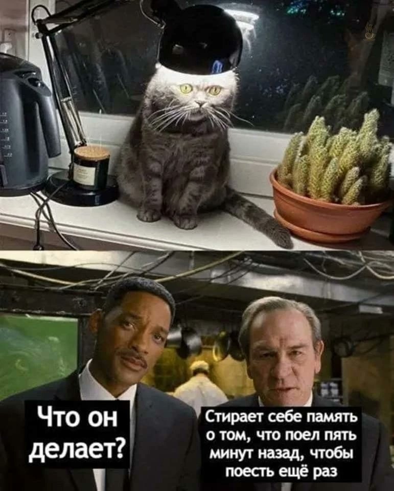 Татьяна Щетинина tweet media
