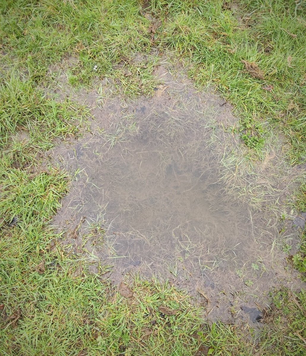 "Where we go is a loved side of the temple, a place for repose, a concrete path."
.
.
.
"and love is when, how and because we do..."
#Jhpyrnne