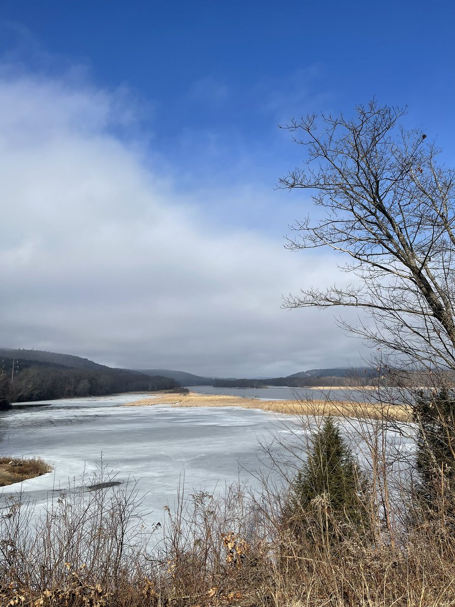 Got in my @audubonsociety Climate Watch surveys today for the local patch. Sadly, this feels very necessary on an early February day in VT with temps now over 50° F. Scored survey targets at most points. Other highlights: a female Belted Kingfisher and a flyover Snow Bunting.