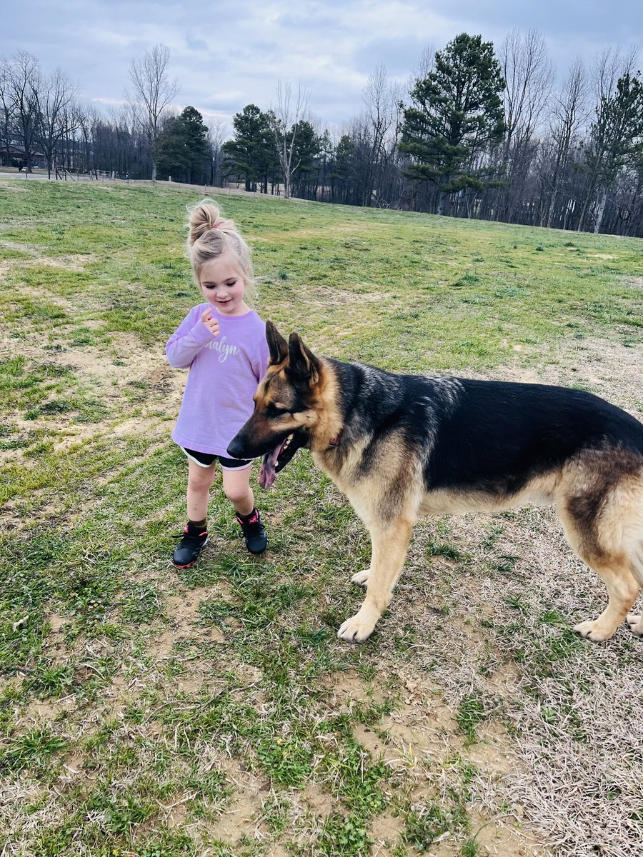 ChelsieAnna12's tweet photo. Pretty day for some tball practice and loving on animals🥰 I’m so thankful for her🥹 https://t.co/uU7QDKi8zg