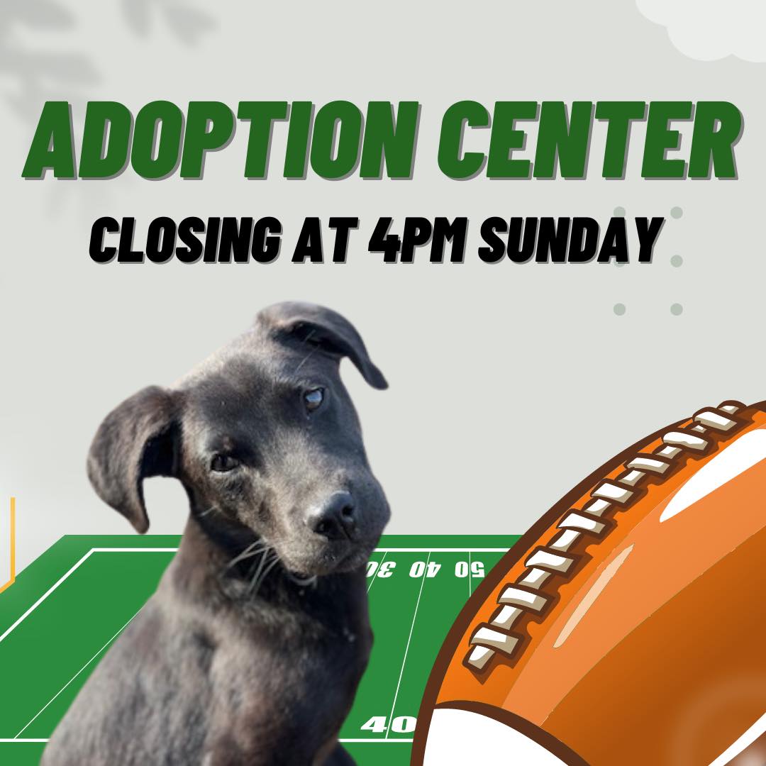 Columbia2Chance's tweet photo. We will be closing a bit early tomorrow (4pm), Sunday Feb 11th so that our staff can go enjoy the Super Bowl! Go Chiefs! https://t.co/z5CGDr4qHi