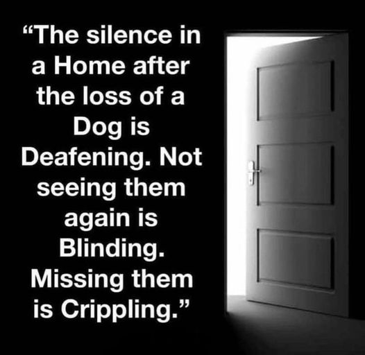 Schnauzer7's tweet photo. truth https://t.co/gJdGnNeCcS