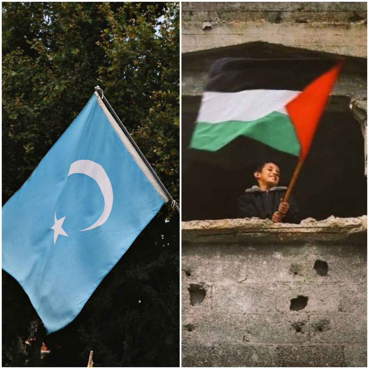 Tüm İşkence ve Zulümler
Müslümanların Üzerinde
Ümmet Çaresiz Ümmet Başsız 
#UyghurGenocide