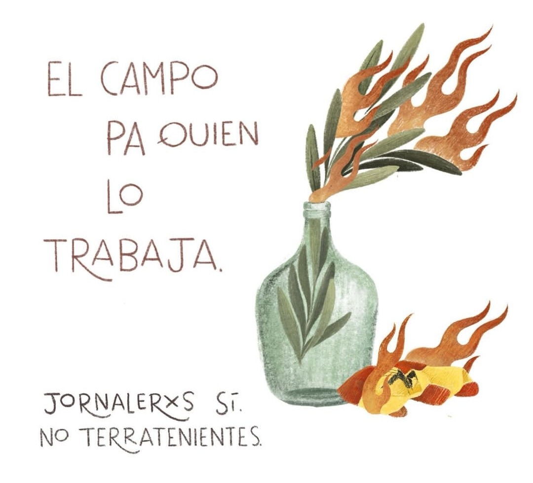 Infusión Ideológica 🫖🍵 tweet media