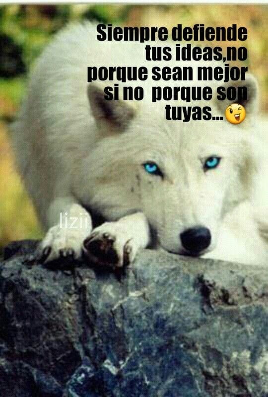 Ángel (@ngel63190751) on Twitter photo 