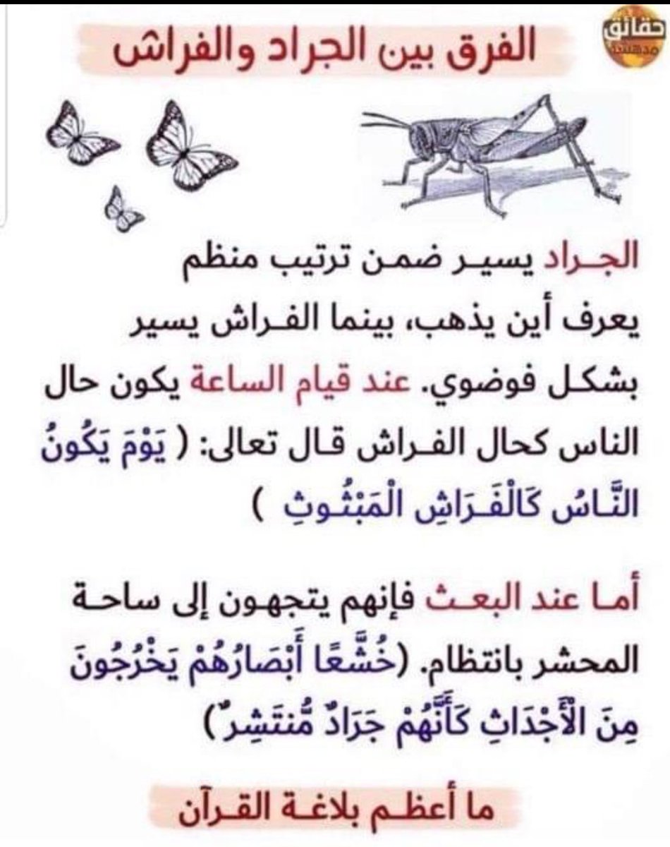 Eng Fouad (@eng_abmohammed) on Twitter photo 