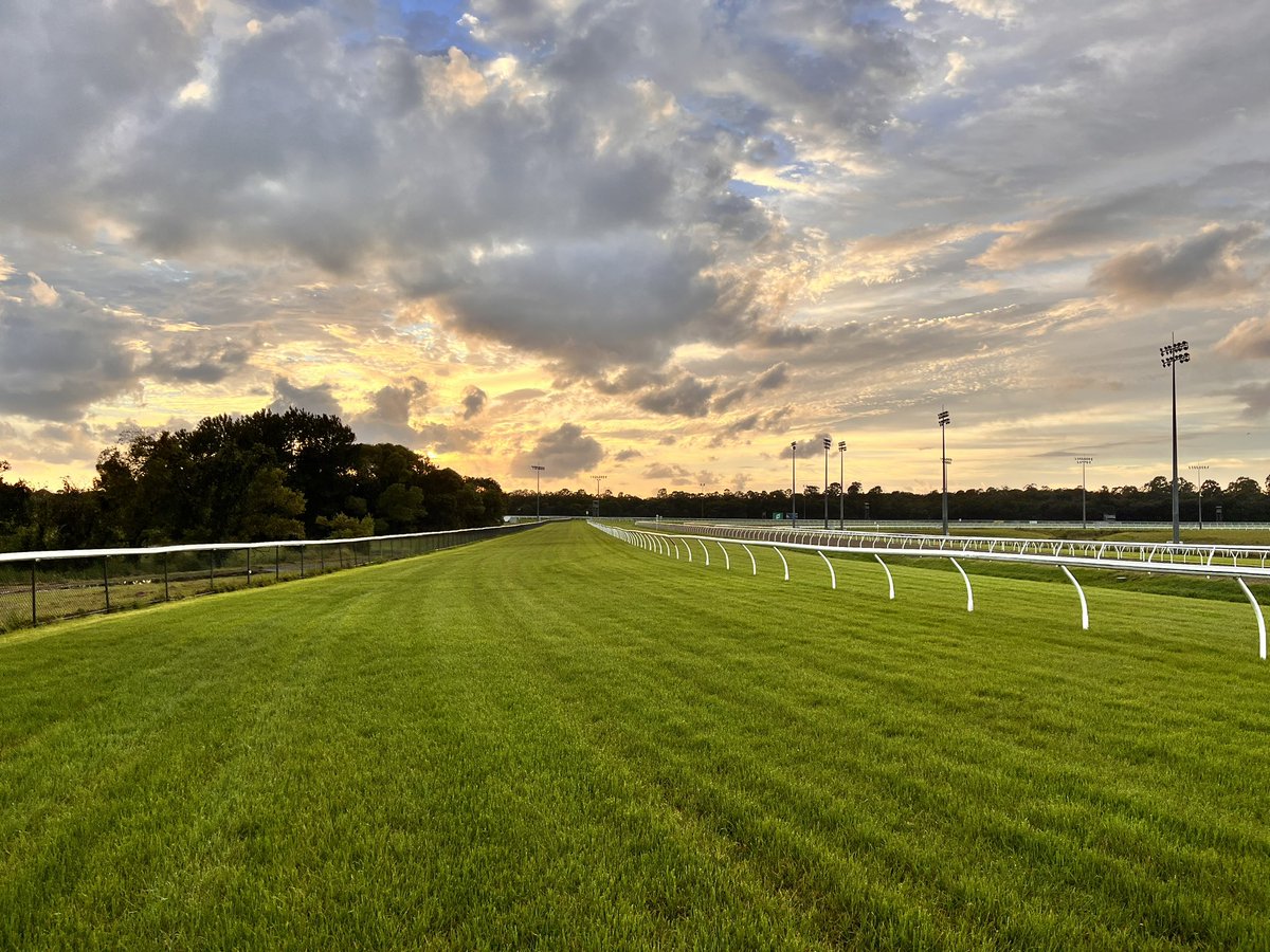 Sunshine Coast Latest Track Update Weather Fine Track Heavy 10 Rainfall 22mm past 24hrs Total of 67mm past 7 days Irrigation nil past 24hrs Total of 18mm past 7 days Rail out 12m entire course Penetrometer 7.5