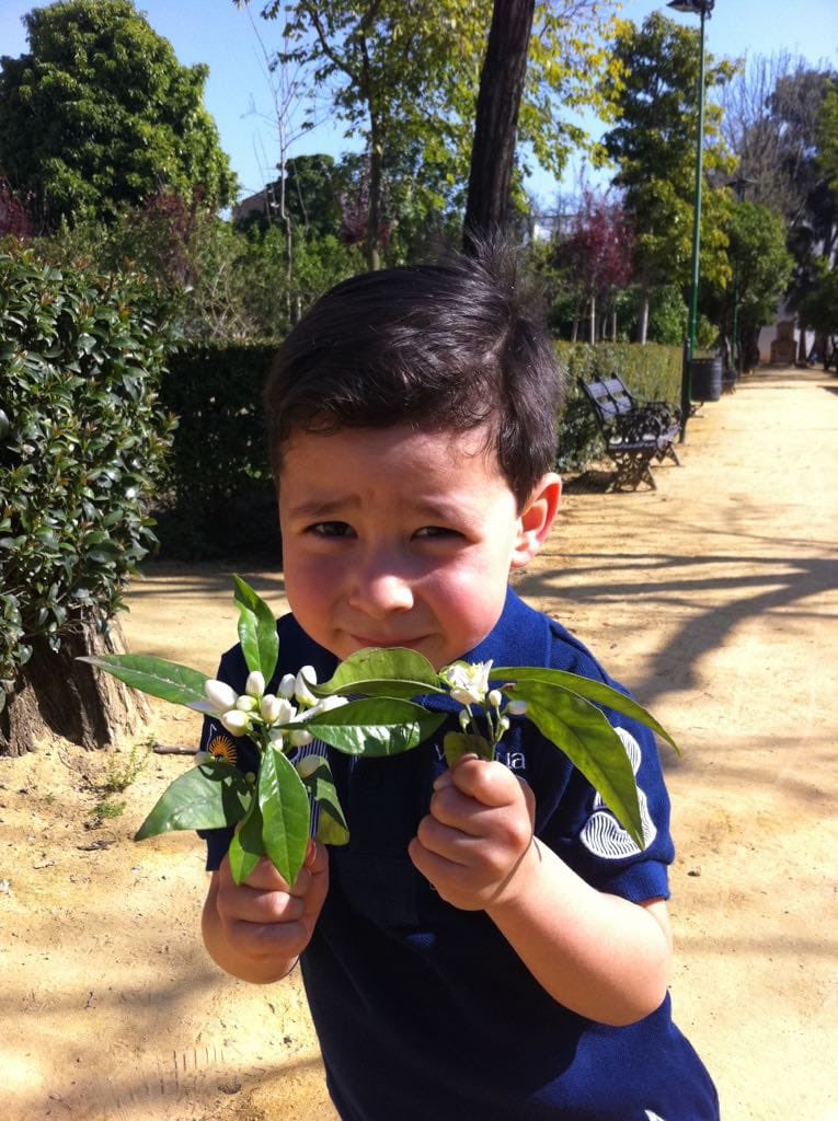 fmvk_024 tweet media