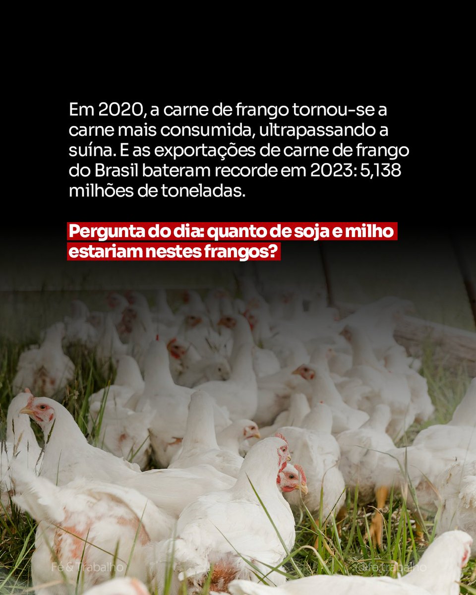FeTrabalho1's tweet image. O agronegócio é sempre protagonista nos eventos mais importantes do mundo.

--

#agronegocio #superbowl #frango #mercado #liberdade