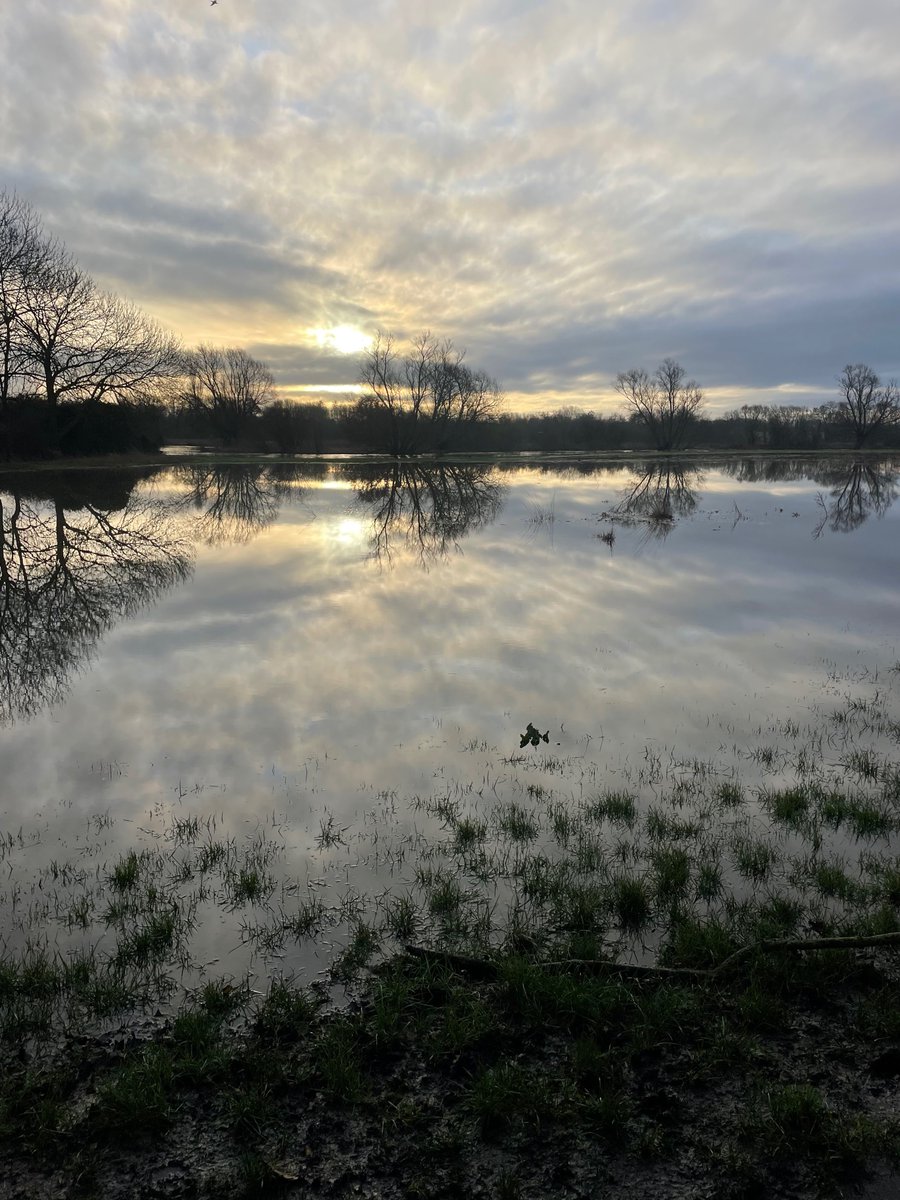 Flood meadow