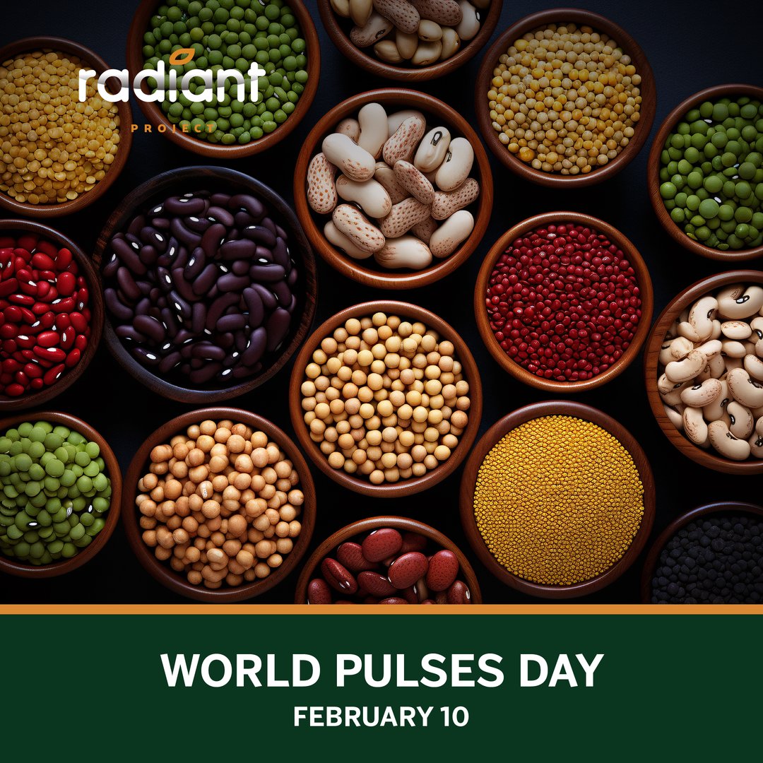 Today we celebrate World Pulses Day! Pulses bring numerous health and environmental benefits. They are versatile, nutritious, and promote soil fertility. 🌱 #RADIANT #WorldPulsesDay #Nutrition #PlantBased #EnvironmentallyFriendly #Sustainability