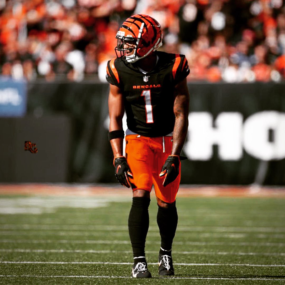 Bengals Graphics tweet media