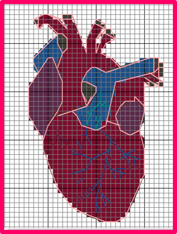 Valentine's Day is coming up. Why not show someone you love them by stitching them a heart? 💕🩷
#heart #anatomy #biology #valentines #sciart #scicomm #crossstitch