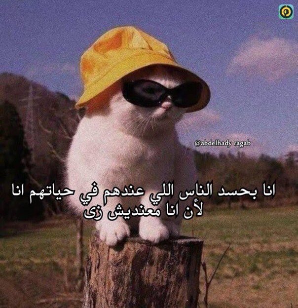 egymeme11's tweet photo. https://t.co/SmBjw2Dza7
