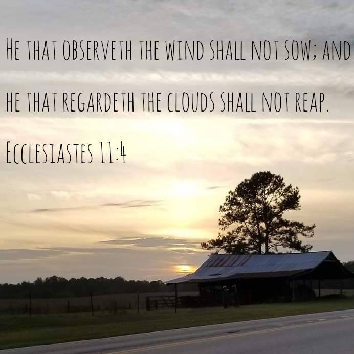 MoparMJ8's tweet image. When we worry about how things may turn out,  we tend to put our focus on what can't/won't happen, then do nothing. When we put our focus on the LORD, obeying what He calls us to do, He makes things happen way beyond even imagined success 🙌📖🛕🙏🏻  #LearnitLoveitLiveit #Bridge21